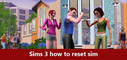 Sims 3 how to reset sim