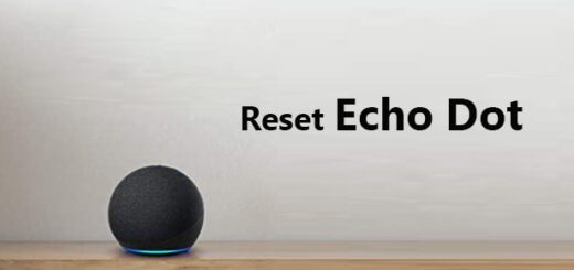 reset Echo Dot